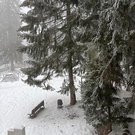 Studio Kris Villa Park Borovets Exterior photo